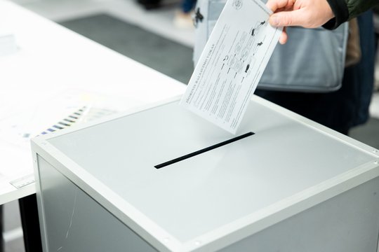 Joniškio rajono meru išrinktas G. Čepulis, Panevėžyje pergalę švenčia L. Masiliūnienė
