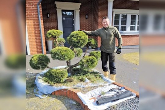 Dėl medžių galvą pametęs Ruslanas: „Užmerkiu akis ir matau, kokia šukuosena augalui tiks“