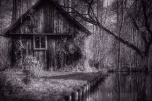 Po vyro laidotuvių giminaičiai aptiko šiurpų radinį: ketverių metų paslaptis buvo atskleista