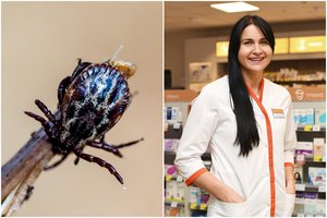 Susiformavo palankios sąlygos erkėms: vaistininkė įspėjo dėl dažnos klaidos