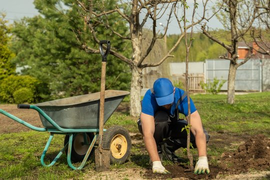 Tai daržininko gyvenimą padaro malonesniu: kur neapsimoka taupyti
