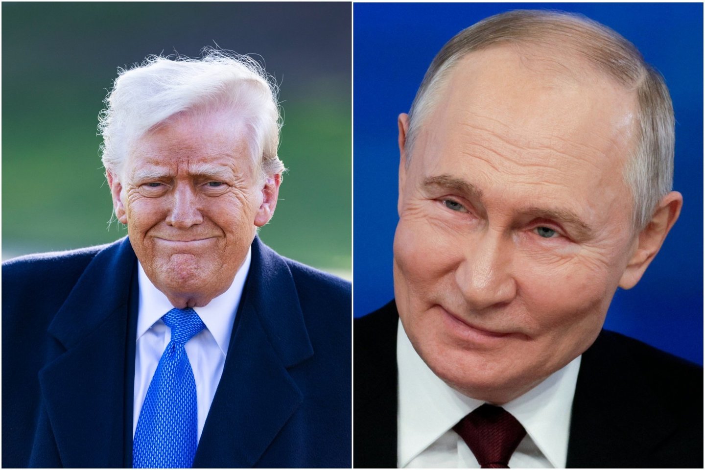 D. Trumpas ir V. Putinas.<br>Lrytas koliažas.