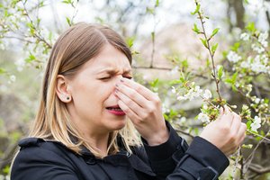 Pavasarį sugrįžta ne tik saulė: patarė, kaip palengvinti alergijos simptomus