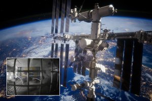 Kosmose 37 dienas praleidusioms pelėms nutiko kai kas „neįprasto“