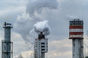 Diskusijos dėl „Achemos“ privatizacijos tęsiasi: pasisakė ir G. Paluckas