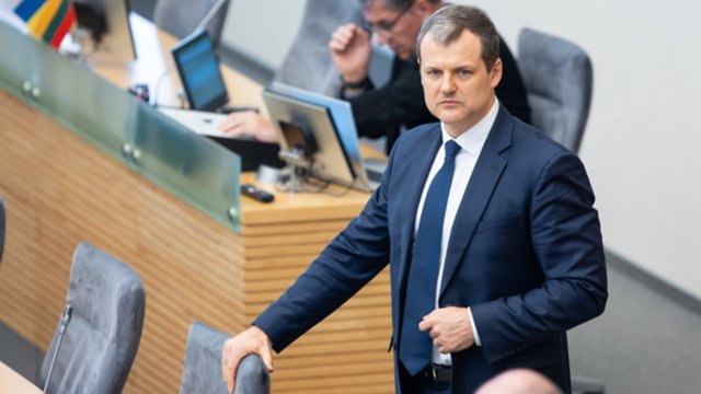 G. Paluckas apie JAV karių žūtį poligone: turiu keletą versijų