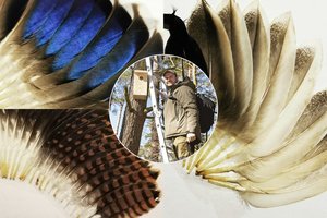 Pati didžiausia šalyje plunksnų kolekcija: jas renkantis ornitologas pateikė ir labai įdomių faktų