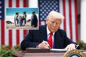 D. Trumpas įvedė muitus net saloms, kuriose gyvena vien pingvinai