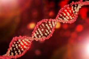 Genai – ne nuosprendis: gydytoja endobiogenikė atskleidė, kaip galime perrašyti savo sveikatos scenarijų