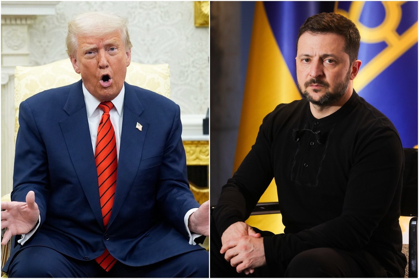 D. Trumpas ir V. Zelenskis.