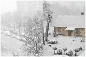 Po nakties dalyje Lietuvos karaliauja žiema: iškrito sniegas ir prasidėjo pūga