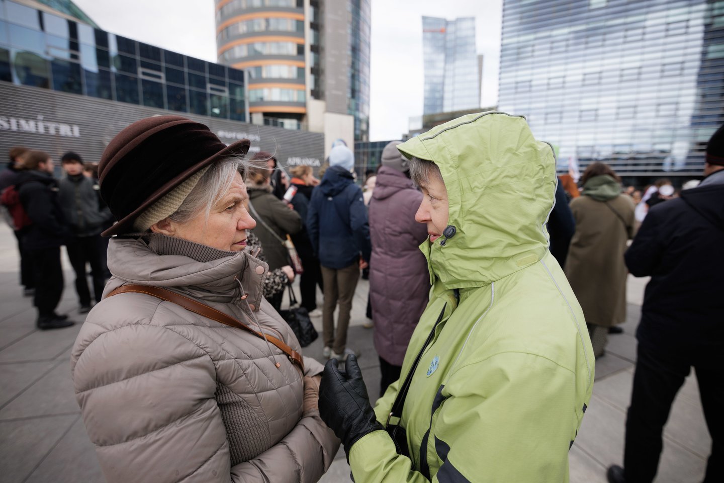 Protestas vilniuje.<br> V.Skaraičio nuotr.