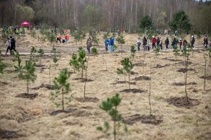 Vilniuje įvyko miško sodinimo talka: pasodinta daugiau nei 1400 medžių