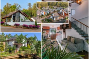 Ąžuolų miške pastatė tiek namų, kad dabar čia – kaimelis: įsikūrusieji neatsidžiaugia