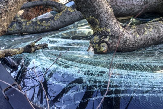 Savaitgalį vėjas siautėjo be gailesčio – gauta dešimtys iškvietimų, apgadinti automobiliai ir stogai