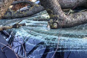 Savaitgalį vėjas siautėjo be gailesčio – gauta dešimtys iškvietimų, apgadinti automobiliai ir stogai