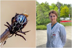 Gydytoja jau skaičiuoja pakirstus ligos: „Įsisiurbus erkei nereikia važiuoti į ligoninę“