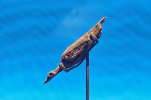 Seniausias žinomas paukščio atvaizdas žymi svarbią žmonijos istorijos epochą