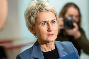 N. Grunskienė: „čekiukų“ bylose įtarimų sulaukė 35 savivaldybių politikai