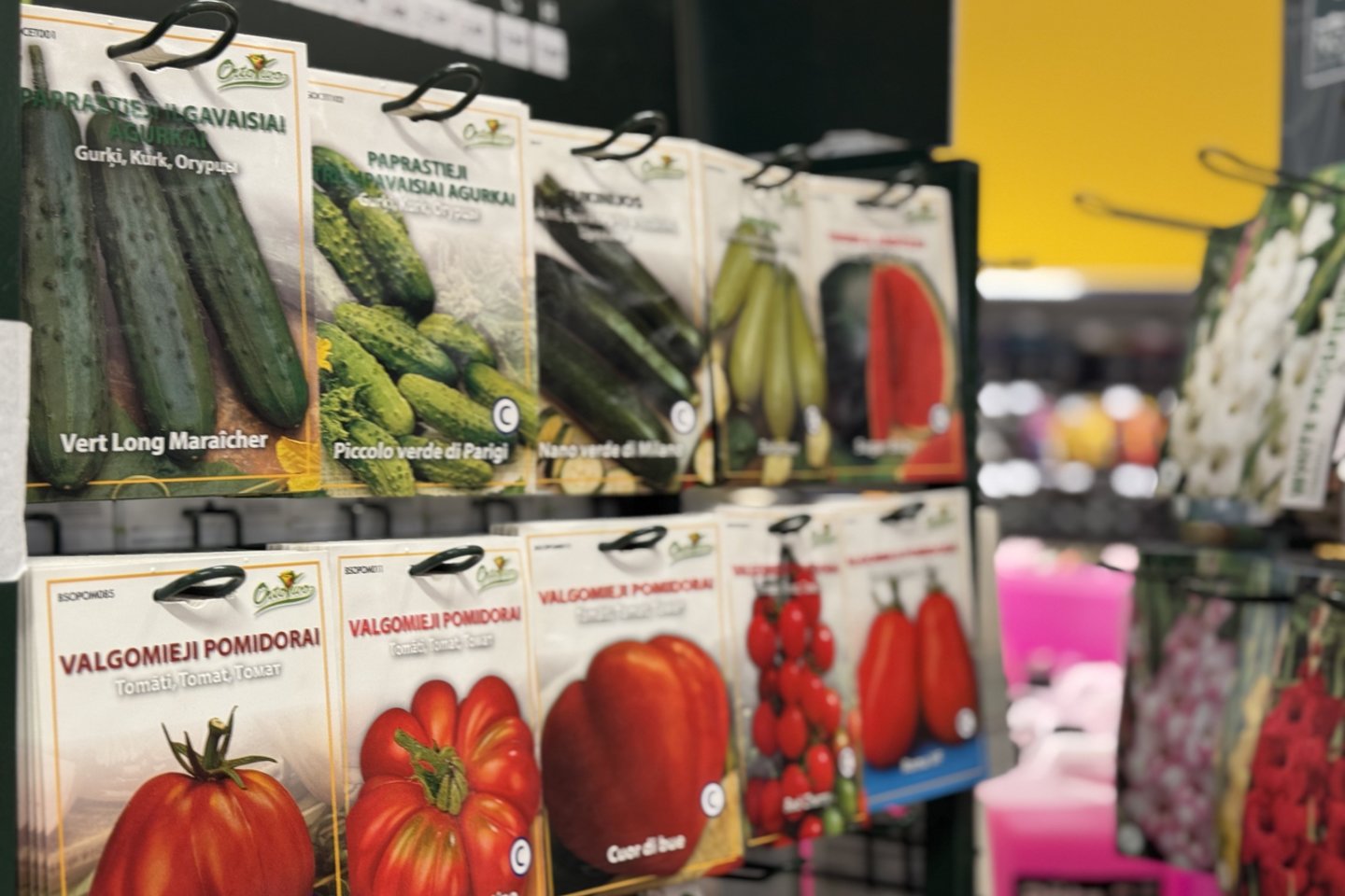 „Maximoje“ vyksta „Sodo dienos“.