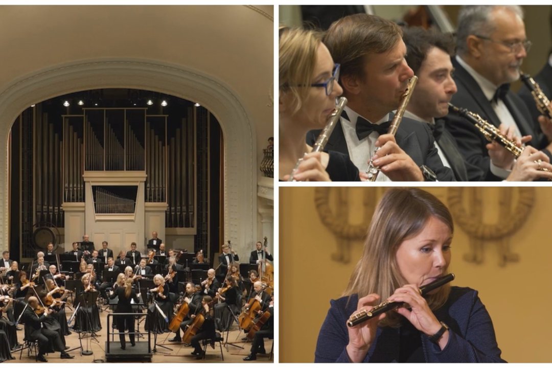 „Muzikos enciklopedijoje trumpai“: viskas, ko nežinojome apie fleitą