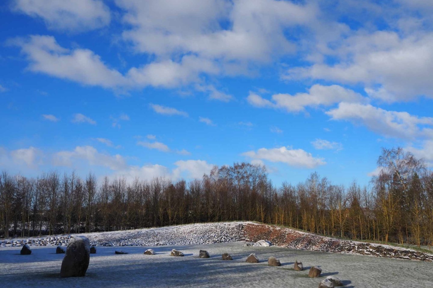 Pakruojo r. <br>G.Motiejūnaitės-Žičevičienės nuotr.