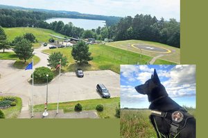 Vokiečių aviganė Ilda padėjo surasti pradingusį Visagino gyventoją