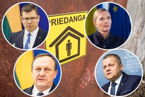 Lietuviams tarus savo žodį – kaltųjų paieškos ir nauji planai: politikai atskleidė, kaip ruošiasi patys