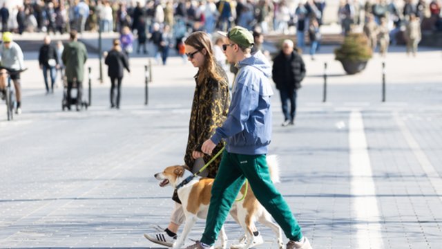 Vis labiau įsitvirtins pavasariška šiluma: temperatūra perkops 20 laipsnių