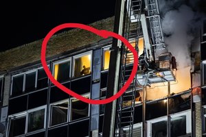 Stebėdami ugnies niokojamą kaimyno butą gyventojai lange išvydo kai ką, kas privertė išsižioti