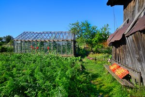 Planuojate kieme statyti šiltnamį? Viena klaida gali brangiai kainuoti – įsivertinkite