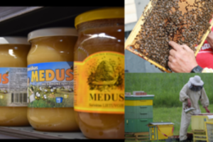 Bitininkams trūko kantrybė: užsakė tyrimą apie prekybos centruose pardavinėjamą medų – rezultatai šokiruojantys
