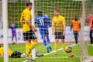 „Hegelmann“ spurtas nužudė „Dainavą“