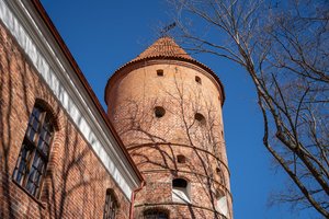 Už gražuolio dvaro – liūdni vaizdai šiurpina gyventojus: „Reikėtų pervadinti į Gėdos alėją“