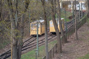 Egzotiška vadinamą transporto priemonę nori įtraukti į viešojo transporto sistemą – tikisi pritraukti daugiau keleivių