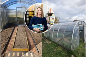 Žinoma knygų autorė po 20 metų savo kieme seną šiltnamį pakeitė nauju: štai, kas ją nustebino labiausiai
