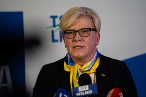 I. Šimonytė mano, kad dėl I. Segalovičienės galėjo būti susitarta: pastebėjau, kad penktoji kolona kažkur dingo