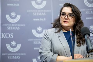 Irenai Segalovičienei – konservatorių kirtis: žėrė priekaištus dėl prezidento šešėlio