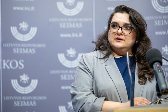 Irenai Segalovičienei – konservatorių kirtis: žėrė priekaištus dėl prezidento šešėlio