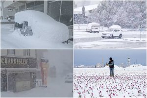 Turkija bando atsigauti po rekordinių šalčių: skaičiuoja didžiulius nuostolius augalams