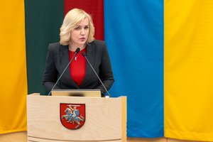 Žiniasklaida: A. Dudėno komisijoje dirba „čekučių“ skandale įsipainiojusi parlamentarė D. Žebelienė