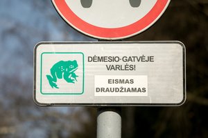 Šiuo metu prašo išskirtinio atidumo: nors šie gyvūnėliai mylimi ne visų, jie – itin svarbūs gamtai