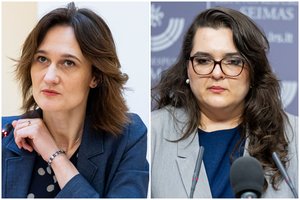 Po susitikimo su I. Segalovičiene – V. Čmilytės-Nielsen abejonės dėl kandidatės į valstybės kontrolierės postą