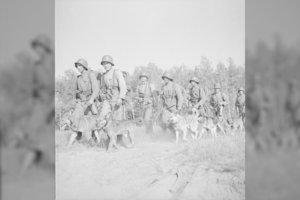 Šuo – ne tik draugas: 9 faktai apie šunis Lietuvos istorijoje