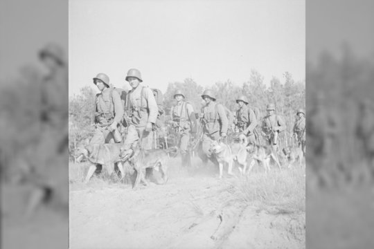Alt photo text