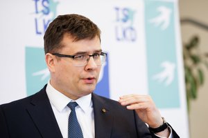 L. Kasčiūnas sako, kad KT sprendimas nepakeis konservatorių principų: sutariame dėl ko nesutarti