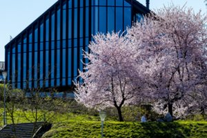 Šventinis savaitgalis – rekordiškai šiltas: termometrų stulpeliai artės prie 30 laipsnių karščio