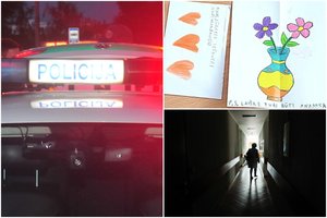 Mamos ir vaiko košmaras tęsiasi: po žinios iš mokyklos – į namus atvykusi policija ir pribloškę tarnybų reikalavimai