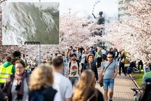 Lietuvą pasiekė Sacharos dulkės, tačiau automobilius geltonai nudažė ne jos: pasakė, kada oras bus švaresnis