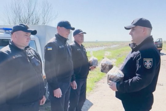 Ukrainiečių suvienijimui pasitelkė konditeriją: velykinius pyragus kepė vardan kilnaus tikslo